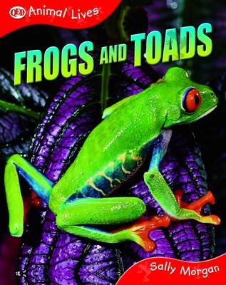 Frogs and Toads