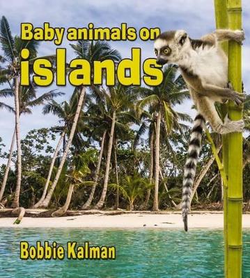 Baby Animals on Islands