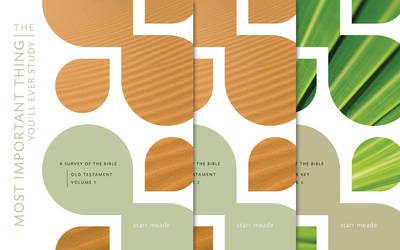 The Most Important Thing You'll Ever Study, Volume 125: A Survey of the Bible: vols. 1, 2, 5: The Old Testament with Answer Key