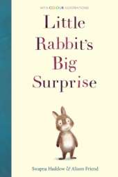 Little Rabbit's Big Surprise