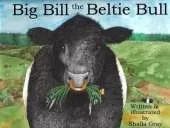 Big Bill the Beltie Bull