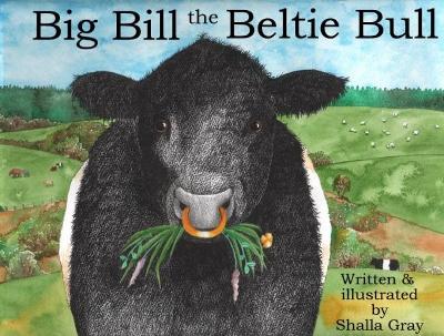Big Bill the Beltie Bull