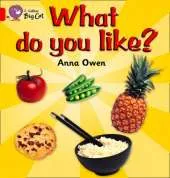 What Do You Like?: Talking Books