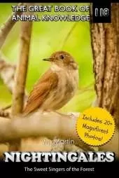 Nightingales: The Sweet Singers of the Forest