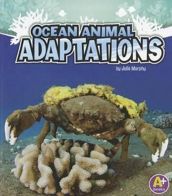 Amazing Animal Adaptations Ocean Animal Adaptations