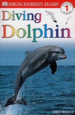 Diving Dolphin