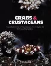Crabs and Crustaceans