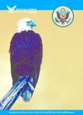 The Bald Eagle