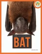 Spotlight on Nature: Bat