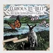 Curious Lil Lilli: The Lamb With Amazing Grace