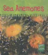 Read and Learn: Ooey-Gooey Animals - Sea Anemones