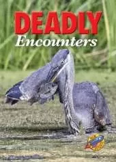 Deadly Encounters