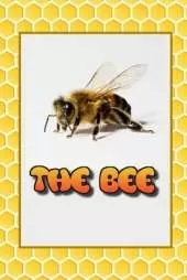 The Bee: Everything you would like to know about Bees.