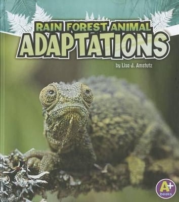 Amazing Animal Adaptations Rain Forest Animal Adaptations