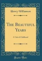 The Beautiful Years: A Tale of Childhood (Classic Reprint)