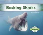 Basking Sharks