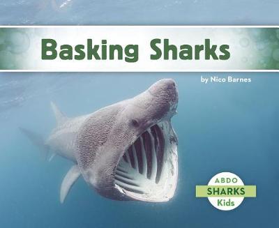 Basking Sharks