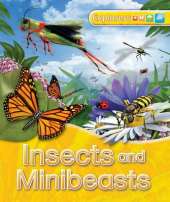 Explorers: Insects and Minibeasts