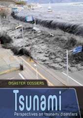 Tsunami: Perspectives on Tsunami Disasters