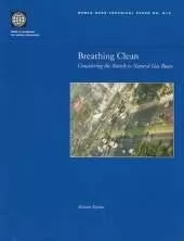 Breathing Clean: Considering the Switch to Natural Gas Buses
