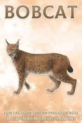 Bobcat: Fun Facts on Zoo Animals for Kids #28