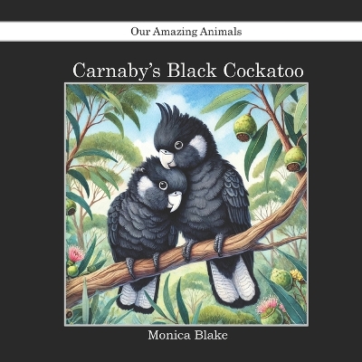 Carnaby's Black Cockatoo: Our Amazing Animals