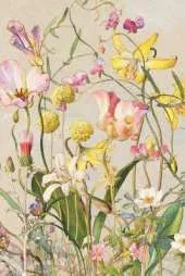 Wildfowers Field Journal Notebook, 50 pages/25 sheets, 4x6