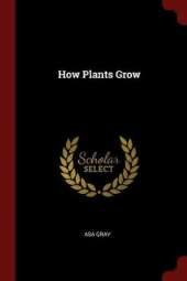 How Plants Grow...