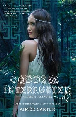 Goddess Interrupted