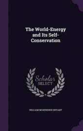 The World-Energy and Its Self-Conservation