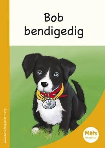 Bob Bendigedig
