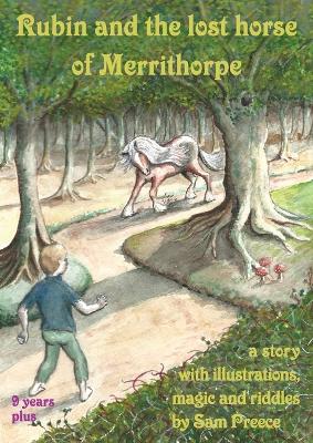Rubin and the lost horse of Merrithorpe: A story with illustrations, magic and riddles