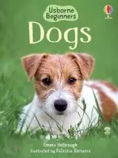 Dogs