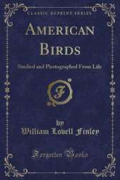 American Birds: Studied and Photographed From Life (Classic Reprint)