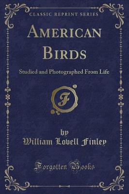 American Birds: Studied and Photographed From Life (Classic Reprint)