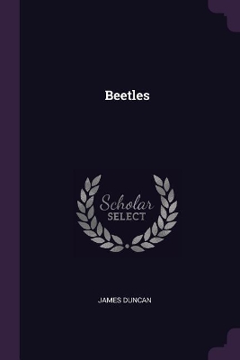 Beetles