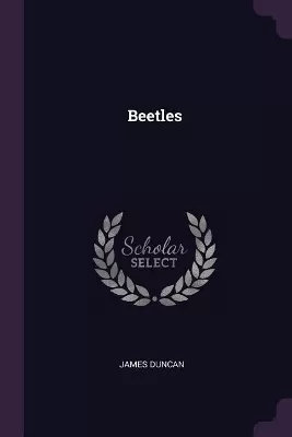 Beetles