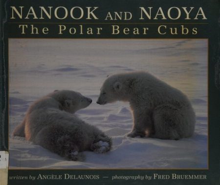 Nanook and Naoya: The Polar Bear Cubs