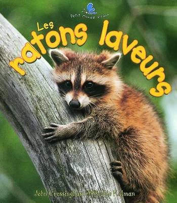 Les Ratons Laveurs