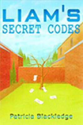 Liam's Secret Codes