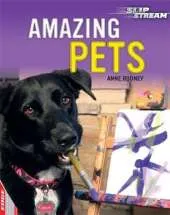 EDGE: Slipstream Non-Fiction Level 2: Amazing Pets