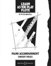 Learn as You Play Flute