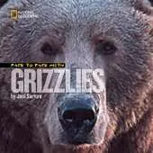 Face to Face With Grizzlies