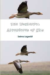 The Wonderful Adventures of Nils