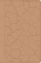 God Guy Bible
