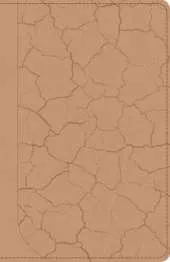 God Guy Bible