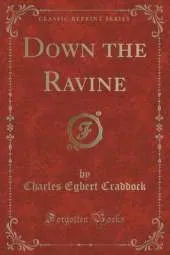 Down the Ravine (Classic Reprint)