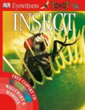 Insect