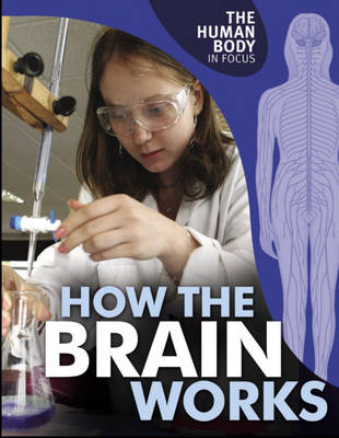 The Human Body in Focus: How The Brain Works