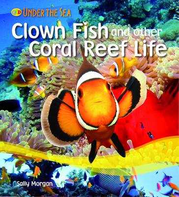 Clown Fish and Other Coral Reef Life